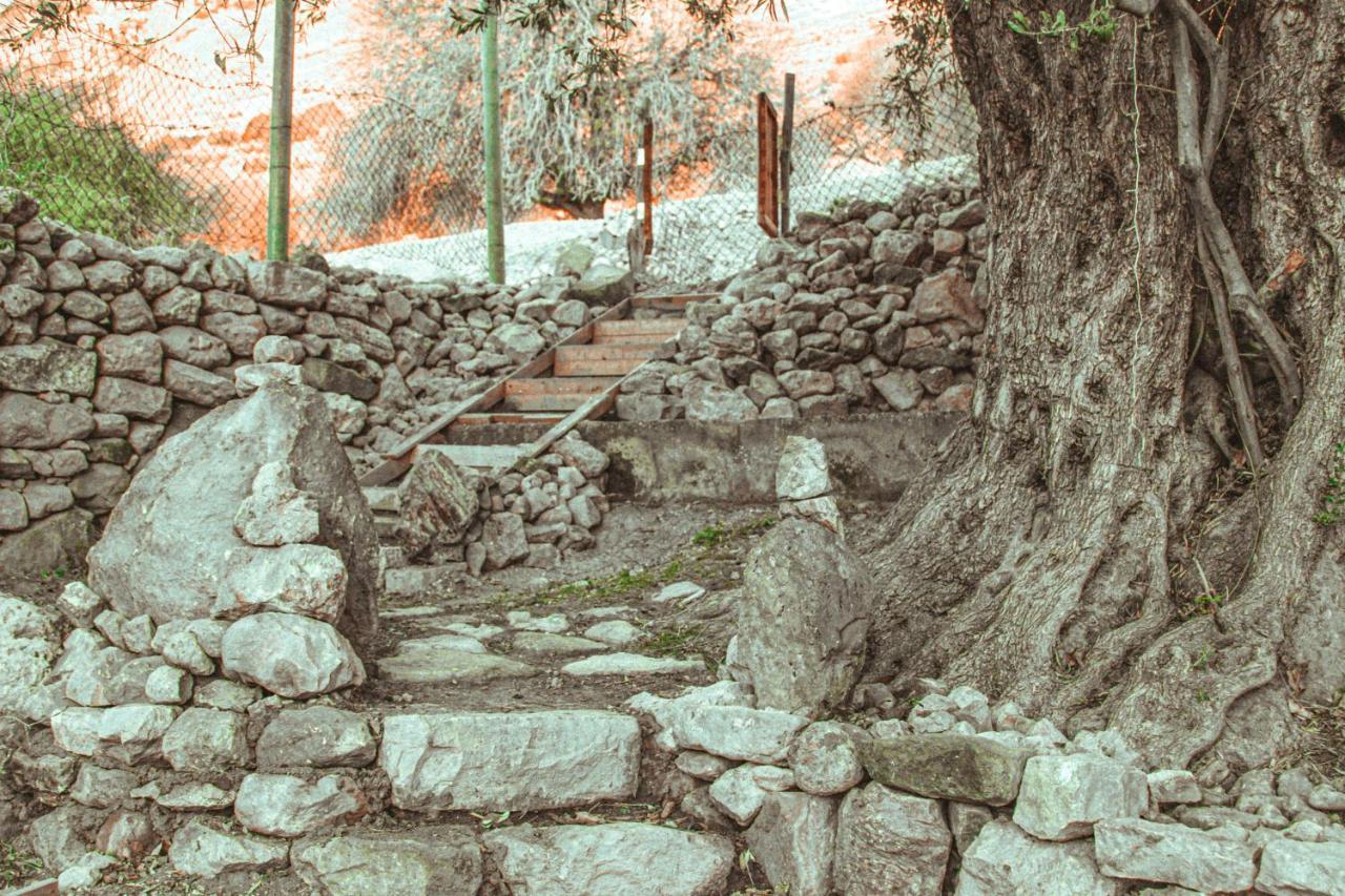 Hobbit Village ダナ エクステリア 写真