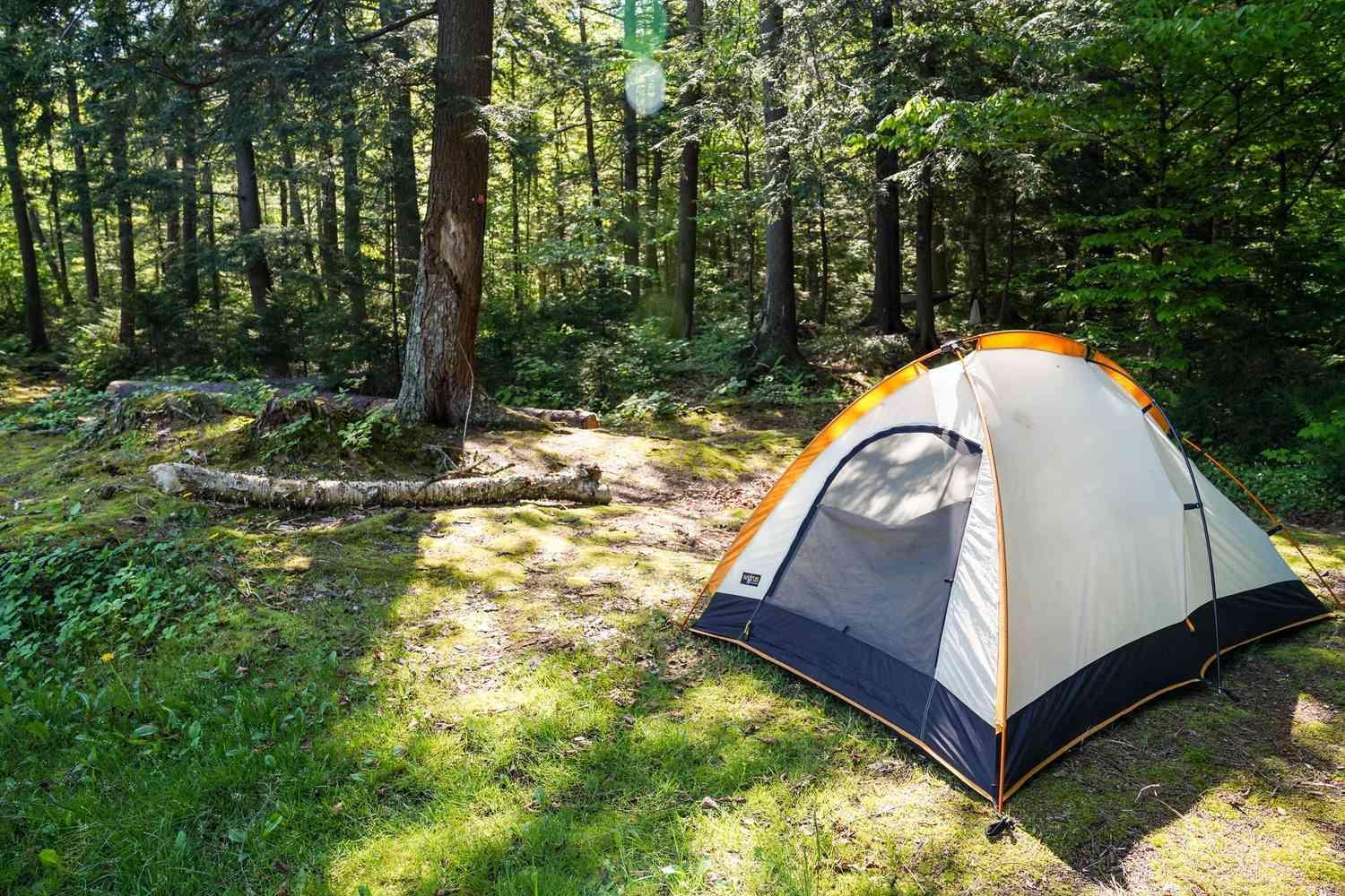 Hobbit Village ダナ 部屋 写真